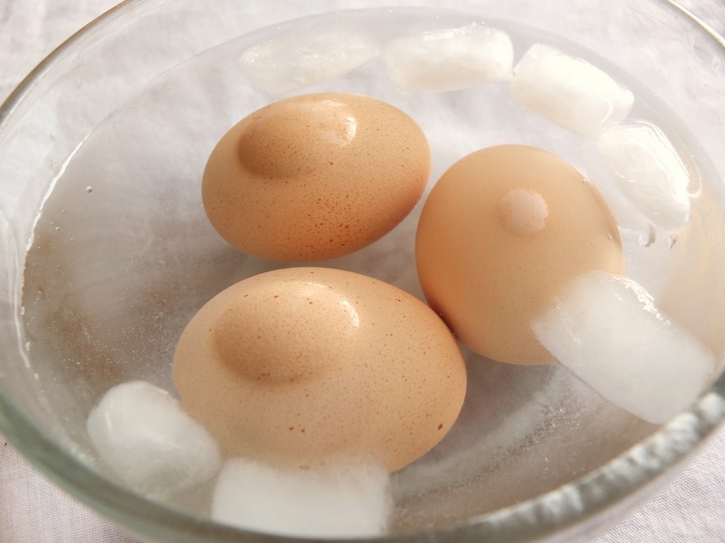 How to Make A Hard boiled Egg Perfectly (Tutorial) | Cook It Up Paleo