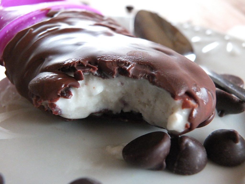 Paleo Ice Cream Bars | Cook It Up Paleo