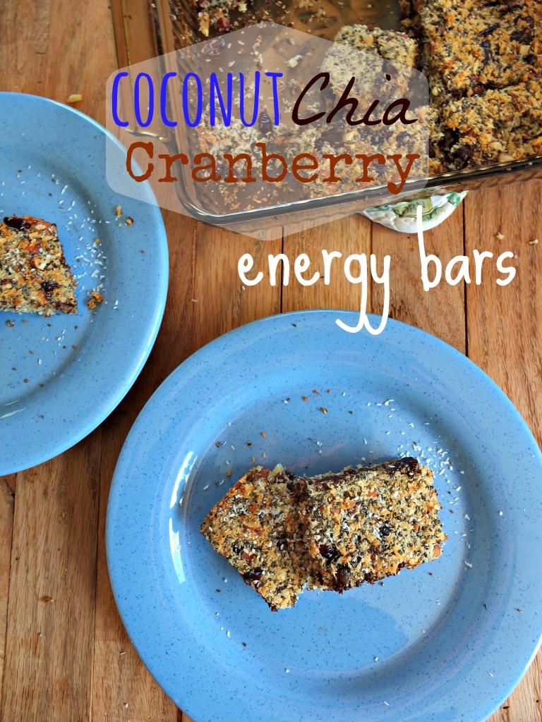 Coconut Chia Cranberry Paleo Energy Bars | Cook It Up Paleo