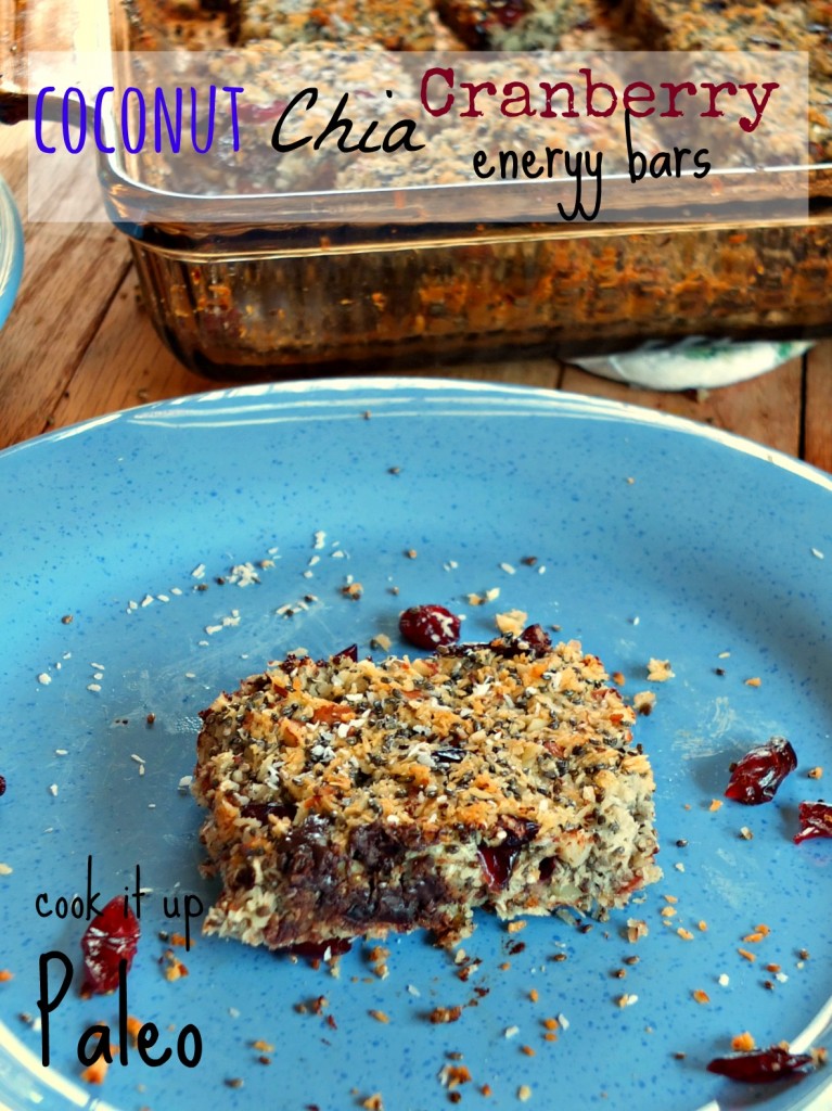 Coconut Chia Cranberry Paleo Energy Bars | Cook It Up Paleo