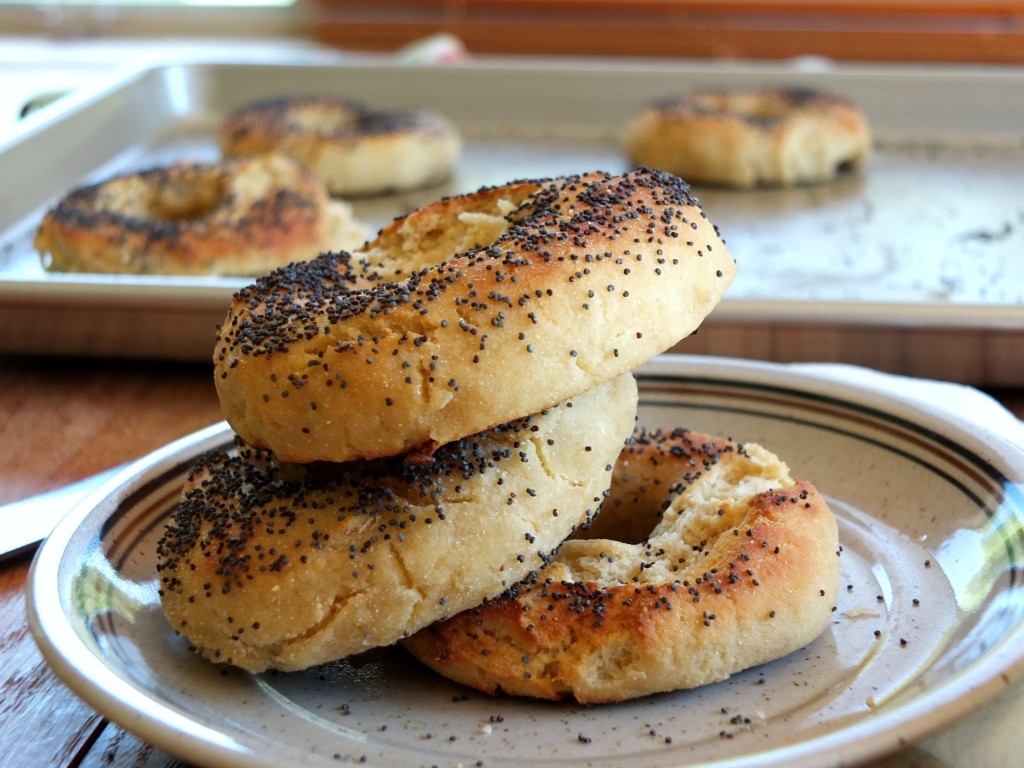 Paleo Bagels | Cook It Up Paleo