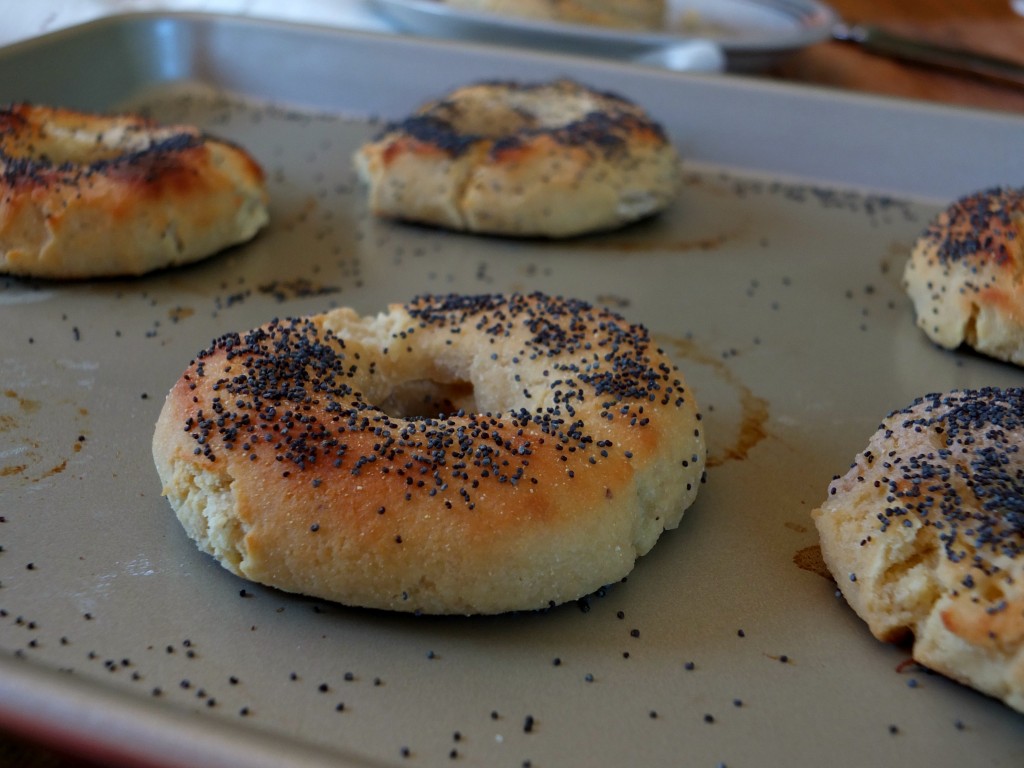 Paleo Bagels | Cook It Up Paleo