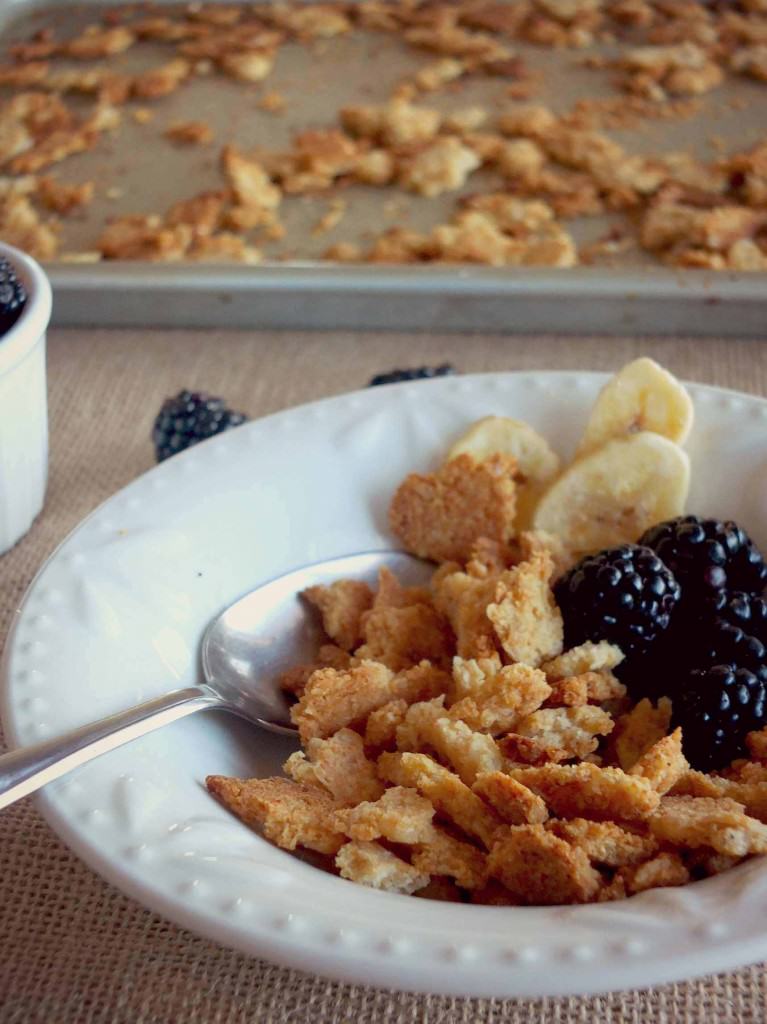 Paleo Cereal Flakes (AIP) | Cook It Up Paleo