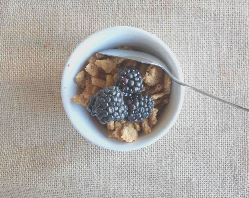 Paleo Cereal Flakes (AIP) | Cook It Up Paleo