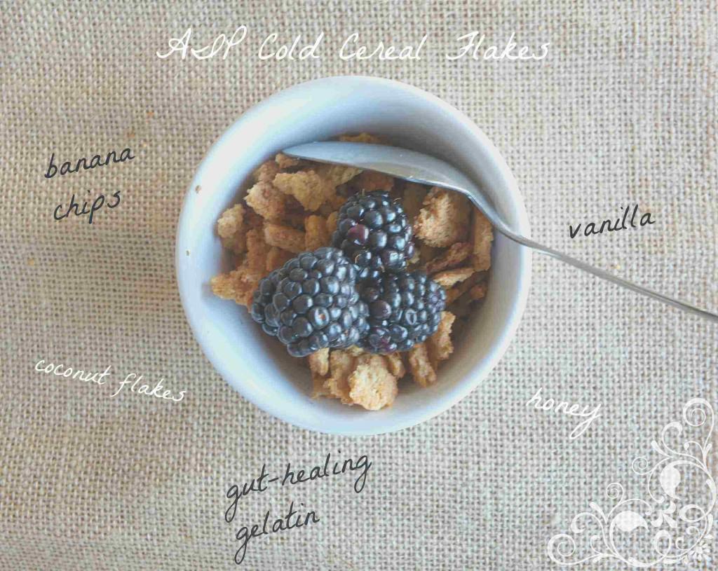 Paleo Cereal Flakes (AIP) | Cook It Up Paleo