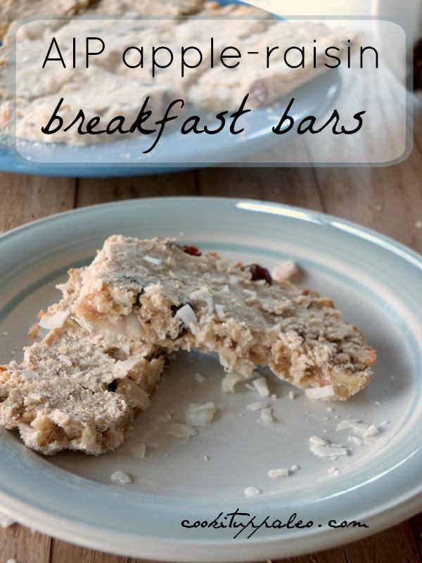 AIP Breakfast Bars with Applesauce and Raisins | Cook It Up Paleo