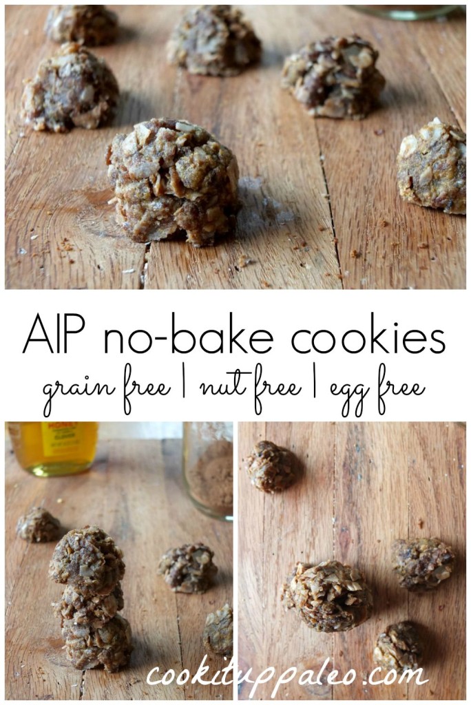 AIP No-Bake Cookies - cookituppaleo.com