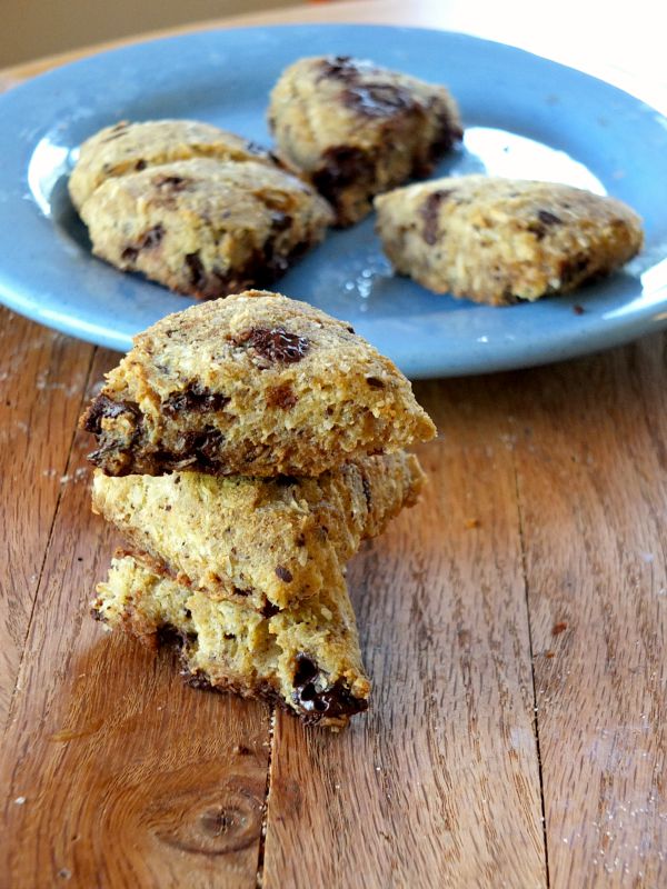 Chocolate Chip Scones (paleo, nut-free, low-carb) | Cook It Up Paleo