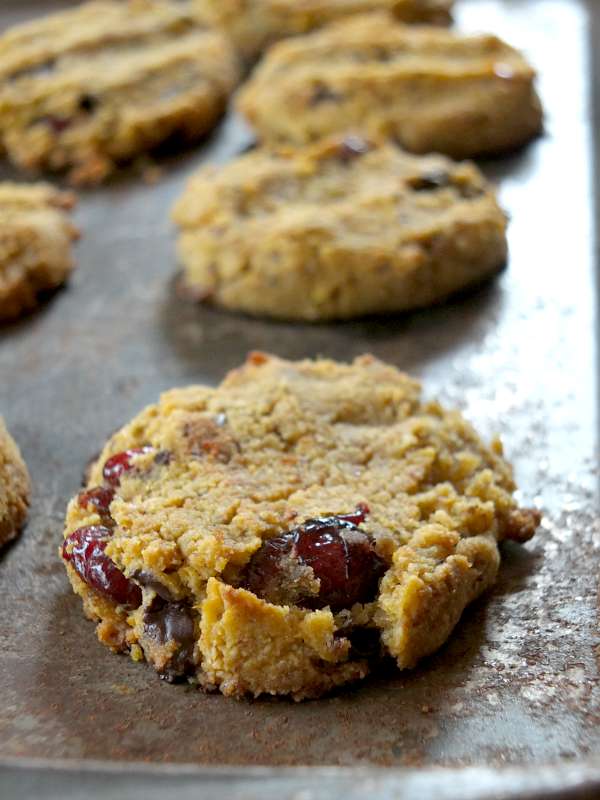 Paleo Soft-Bake Pumpkin Chocolate Chip Cookies with Cranberries (egg-free, vegan) | Cook It Up Paleo