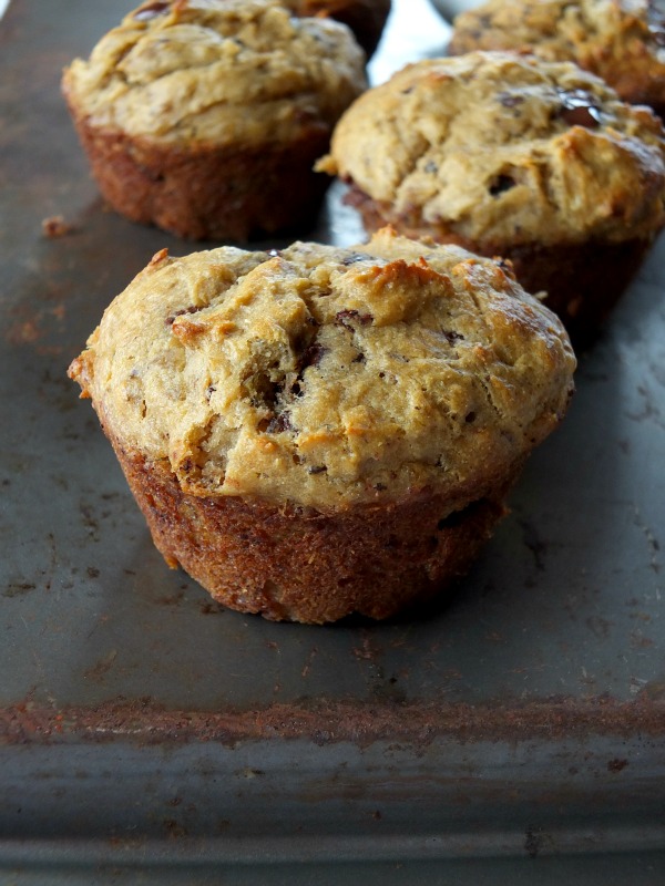 Paleo Banana Muffins with Chocolate Chunks (nut and coconut free) | Cook It Up Paleo