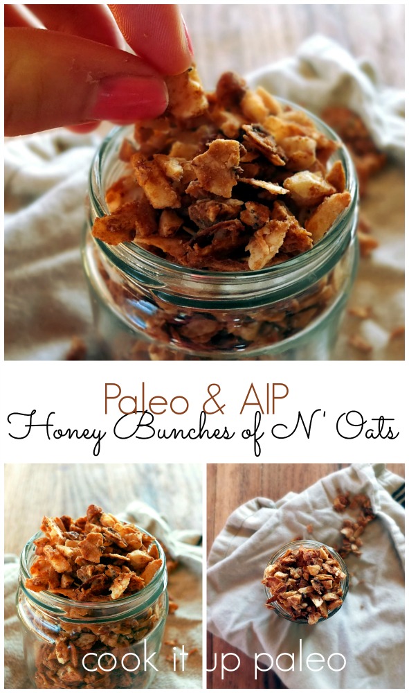 Paleo Honey Bunches of N'Oats | Cook It Up Paleo