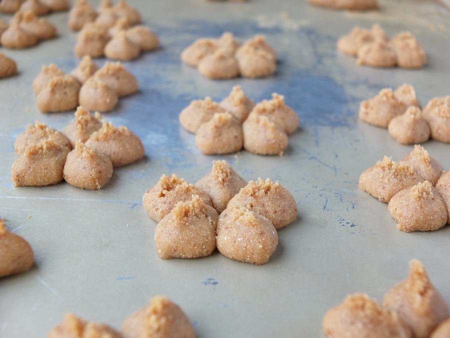 Paleo Spritz Cookies | Cook It Up Paleo