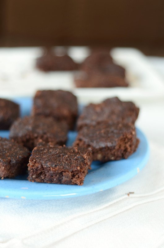 Low Sugar Paleo Brownies (Nut-free, 21DSD)