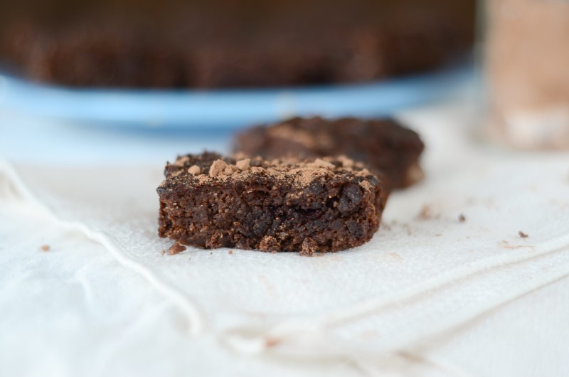 Low Sugar Paleo Brownies (Nut-free, 21DSD)