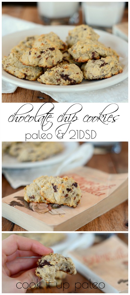 21DSD Cookies - Chocolate Chip (soft-baked)