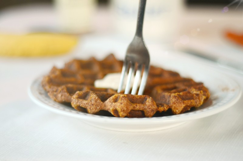 Paleo Pumpkin Waffles - nut free, single serve