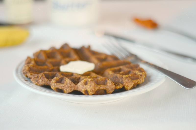 Paleo Pumpkin Waffles - nut free, single serve