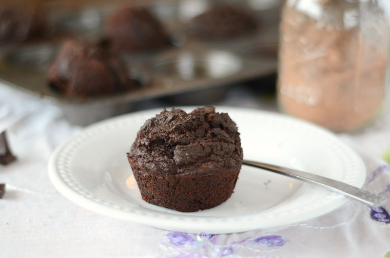 Low Carb Chocolate Muffins