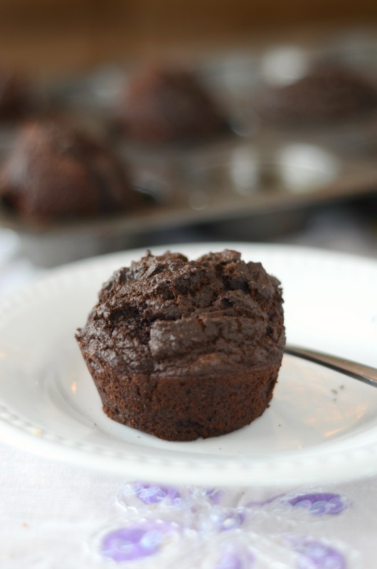 Low Carb Chocolate Muffins