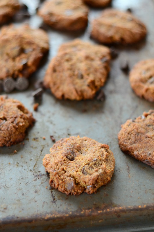 The Best Chewy Coconut Flour Chocolate Chip Cookies