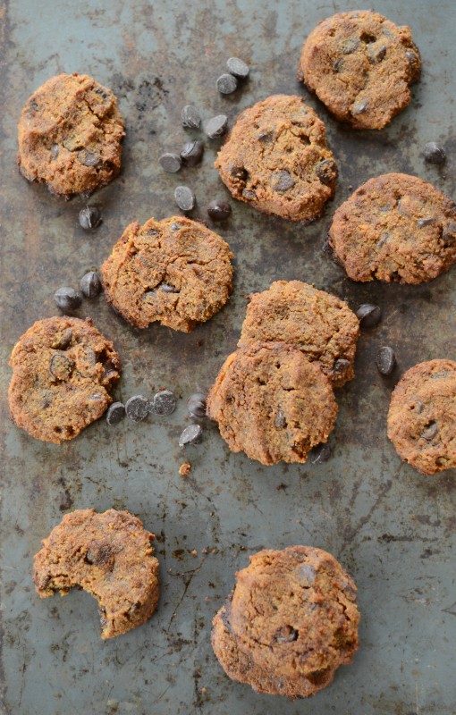 The Best Chewy Coconut Flour Chocolate Chip Cookies