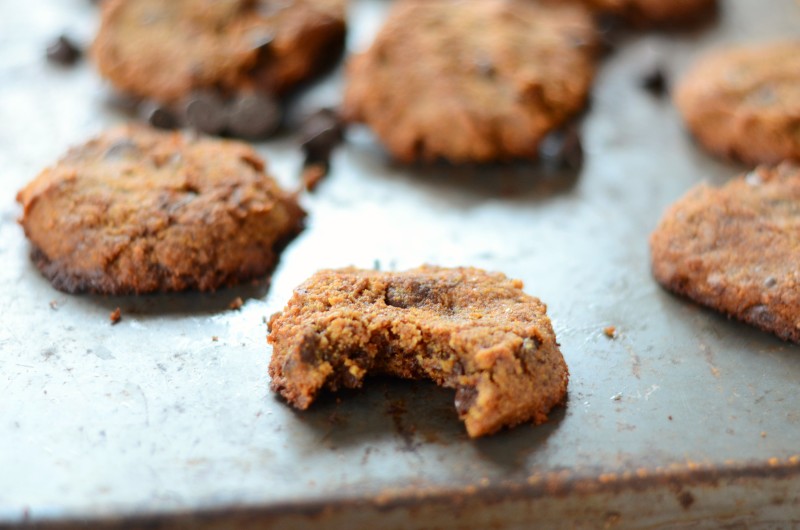 The Best Chewy Coconut Flour Chocolate Chip Cookies