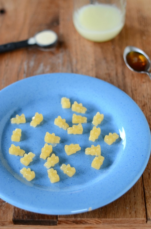 Honey Lemon Paleo Gummy Bears