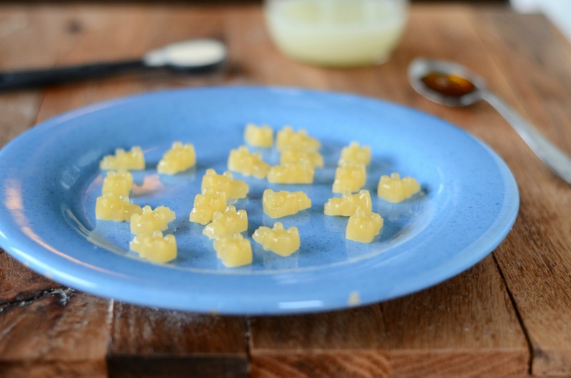 Honey Lemon Paleo Gummy Bears