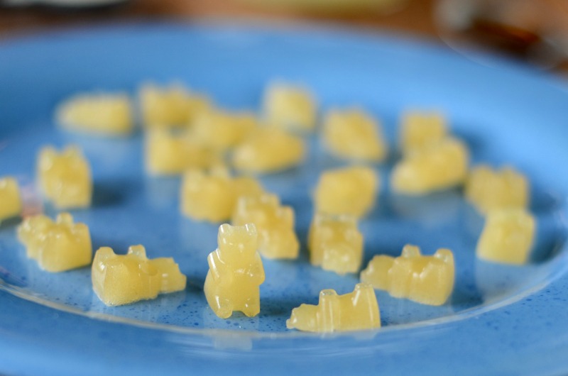 Honey Lemon Paleo Gummy Bears