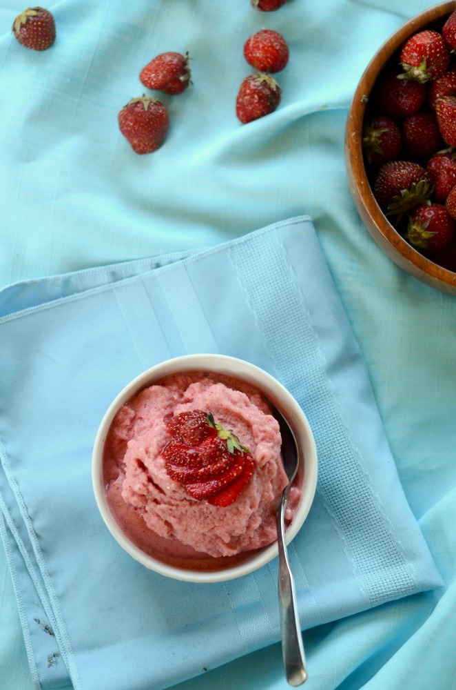 Paleo Strawberry Ice Cream (dairy-free, coconut-free, egg-free)