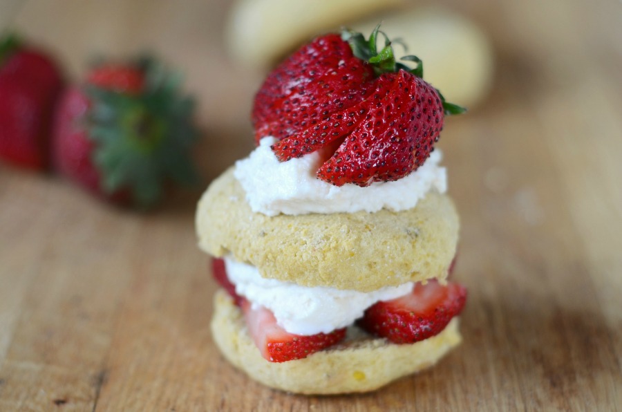 AIP Strawberry Shortcake