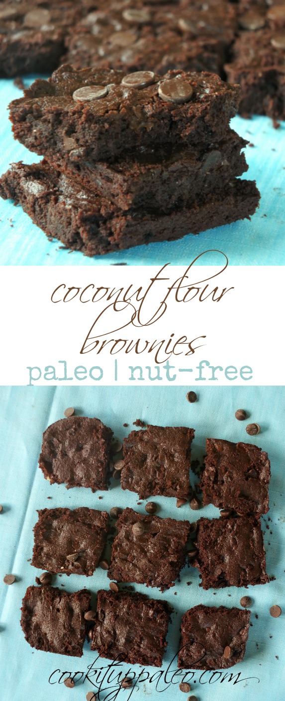 Perfect Coconut Flour Brownies