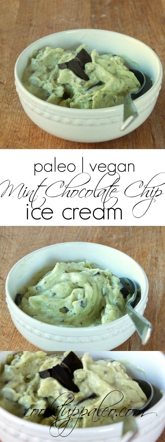 Paleo Mint Chocolate Chip Ice Cream