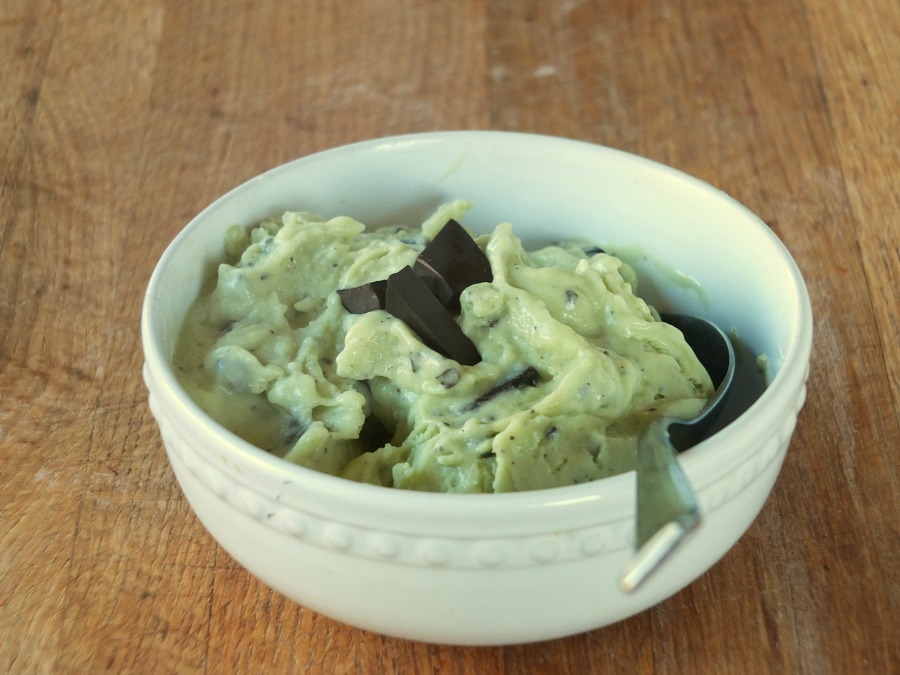 Paleo Mint Chocolate Chip Ice Cream