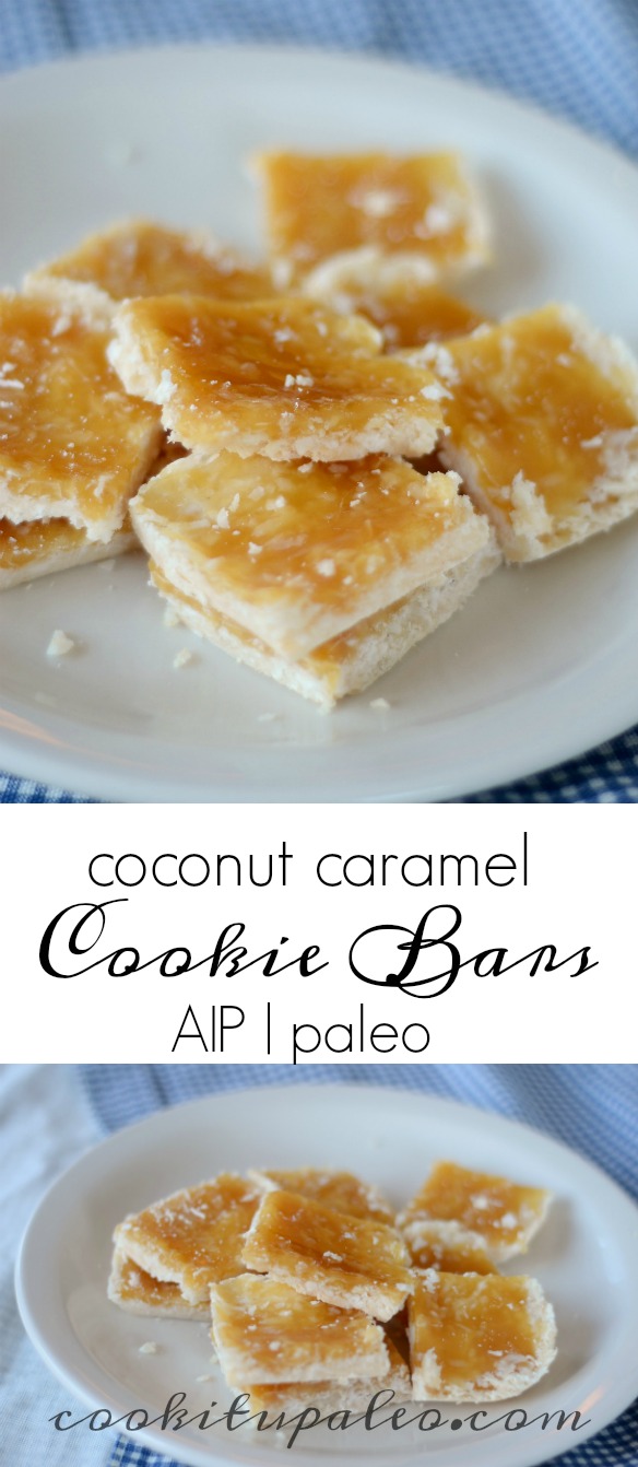 AIP Cookie Bars