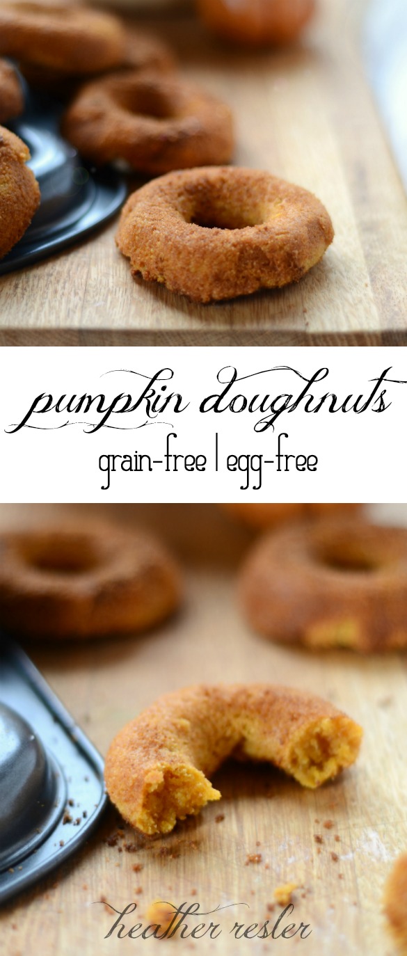 Paleo Pumpkin Doughnuts (egg-free)