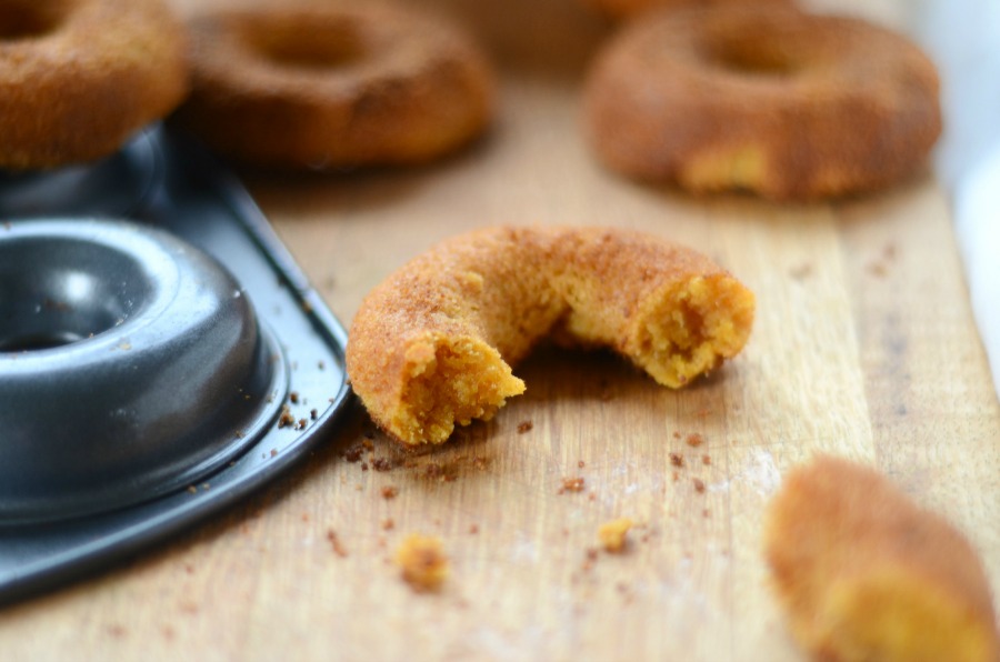 Paleo Pumpkin Doughnuts (egg-free)